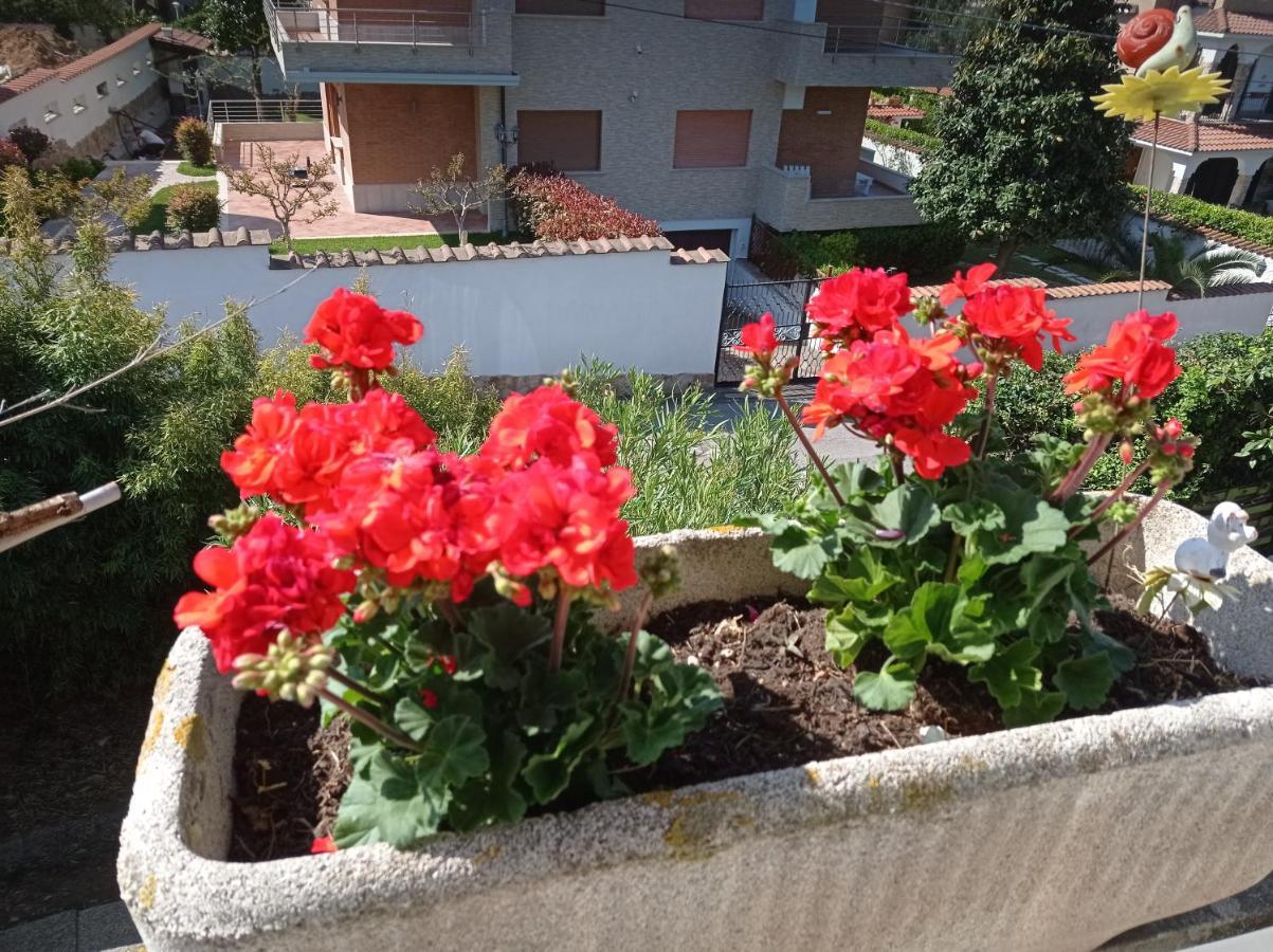 Villa Nerina Alloggio Turistico Anzio Bagian luar foto